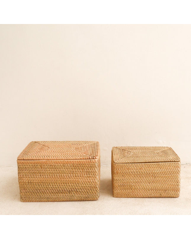 Opbergmand met deksel Plankmand gemaakt van beige rotan handgeweven decoratieve mand GRAHA (2 maten)