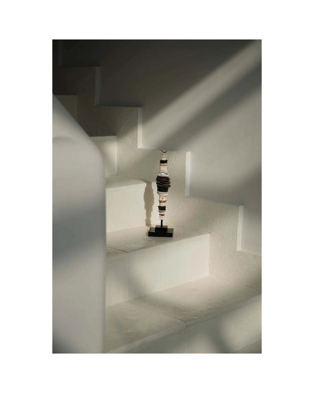 De Geldschelp op Standaard - Zwart Wit - S