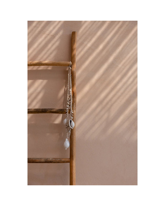 De grote witte kauri schelp ketting