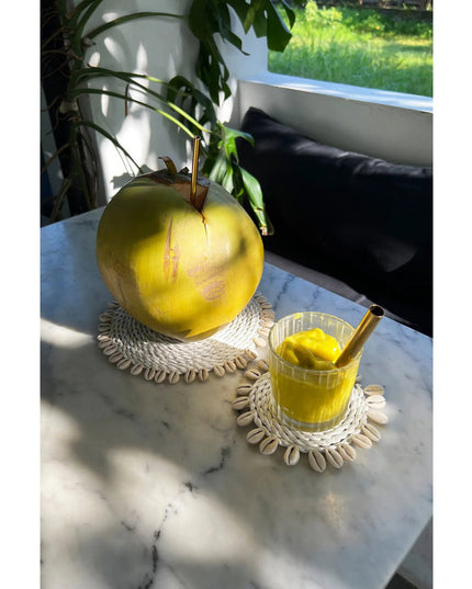 De Seagrass Shell Coaster - Wit