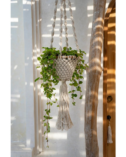De Gedraaide Macramé Plantenhouder - Natuurlijk Wit - L