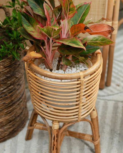 Rotan Plantenstandaard Rond – Boho Plantenbak – Rotan Plantenmand – Natuurlijke Bloemenstandaard voor Potten tot Ø20 cm AKARA