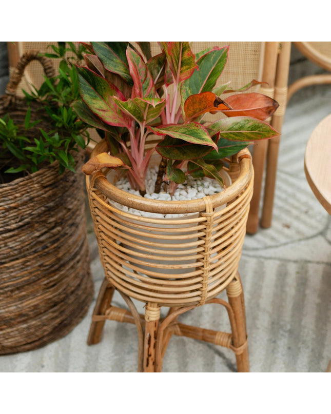 Rotan Plantenstandaard Rond – Boho Plantenbak – Rotan Plantenmand – Natuurlijke Bloemenstandaard voor Potten tot Ø20 cm AKARA